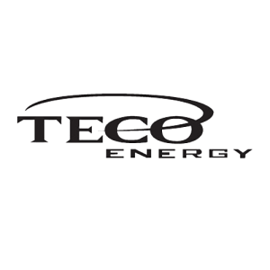 TECO Energy, Bay Motor Winding, MS Gulf Coast